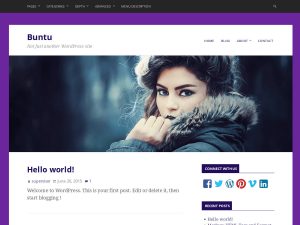 Buntu Free WordPress theme